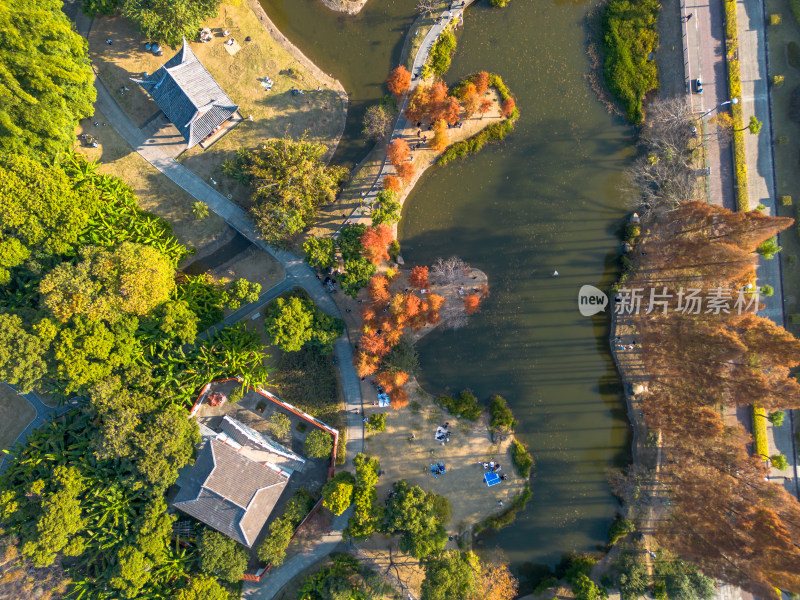 福州城市中色彩斑斓的树林全景