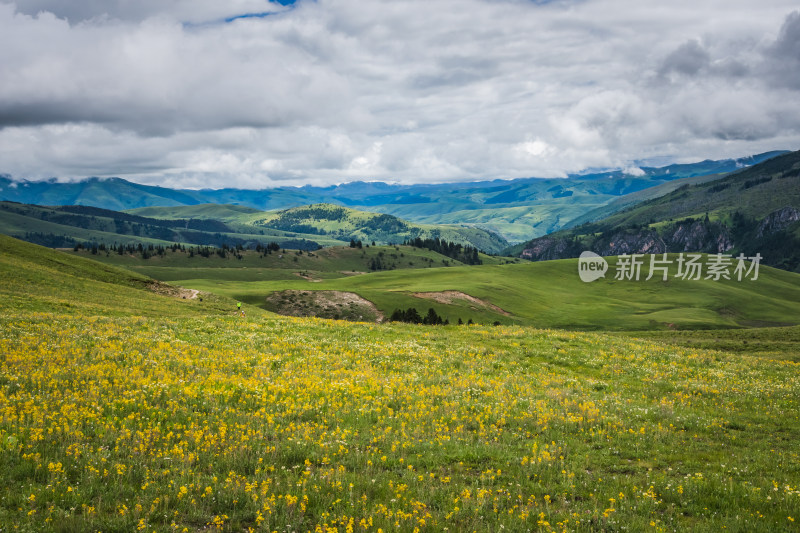 蓝天白云下广袤草原与连绵山峦自然风景