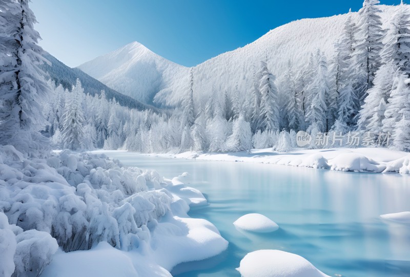 冬季森林白雪覆盖风景