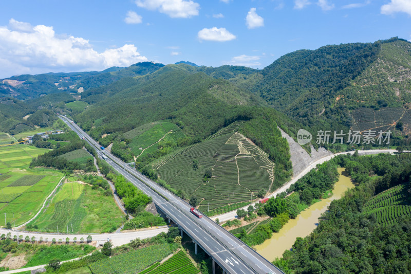 茶山里驶向远方的公路