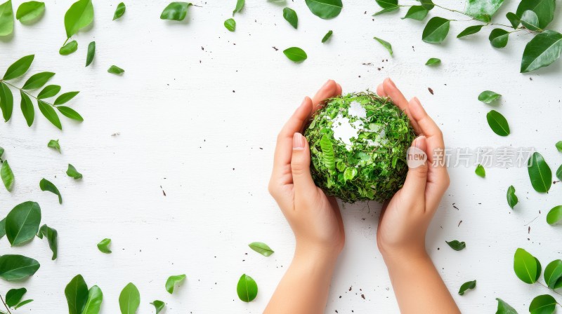 保护环境绿色地球 绿色低碳爱护环境 地球