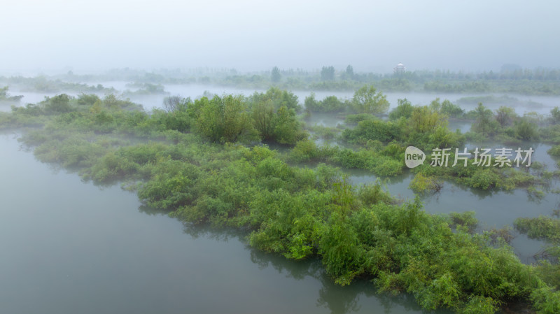 河流湿地雨雾朦胧自然风景