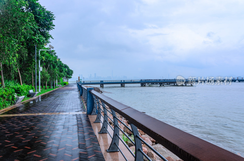 深圳湾公园滨海休闲步道与海景风光