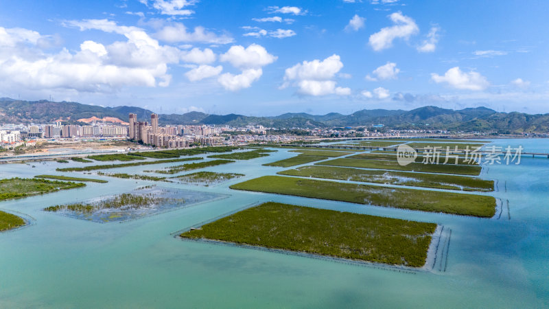 惠州盐洲海洋湿地公园-红树林湿地风光