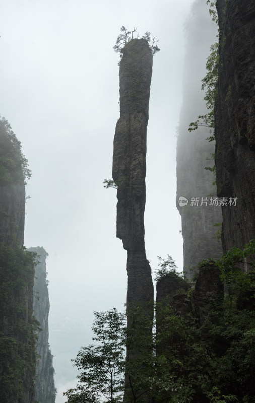 湖北恩施大峡谷一柱擎天