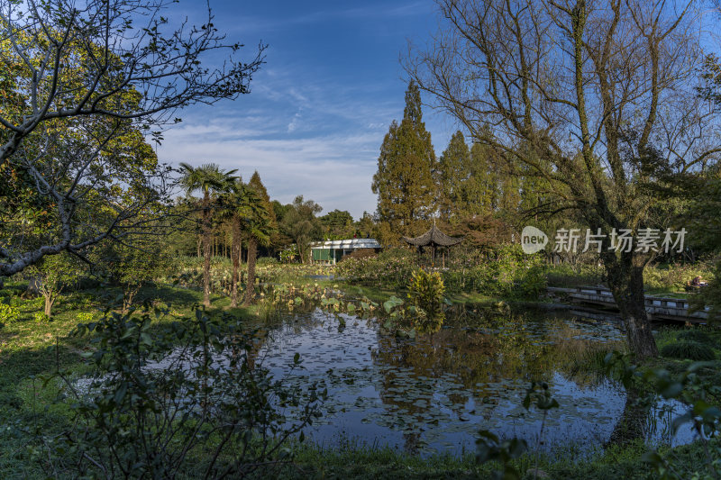 杭州西子湖畔杭州花圃风景