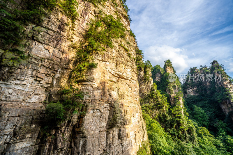 中国湖南张家界景区奇特山峰与茂密森林