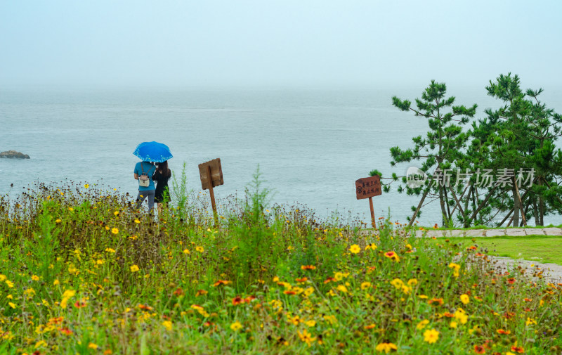 一对年轻情侣，下雨天在花丛旁看海