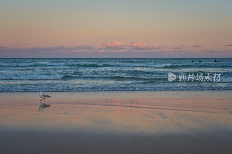 悉尼邦迪沙滩，bondi beach，日落与倒影