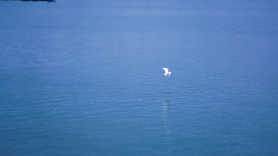 海边大海平潭海鸟渔船