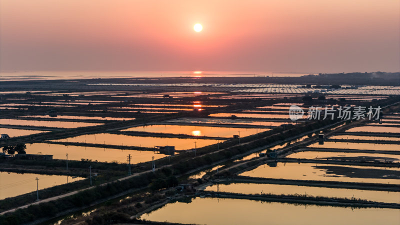 水产养殖：廉江市龙营围万亩虾田