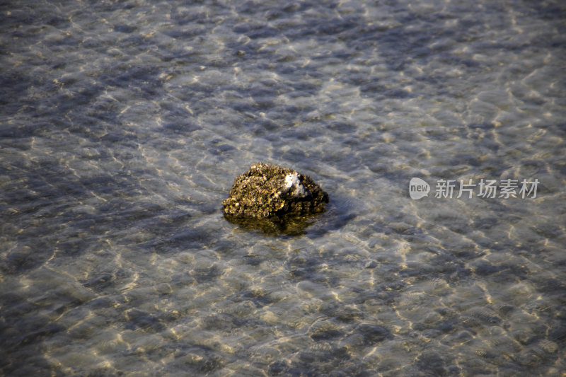 海南蜈支洲岛与猴岛