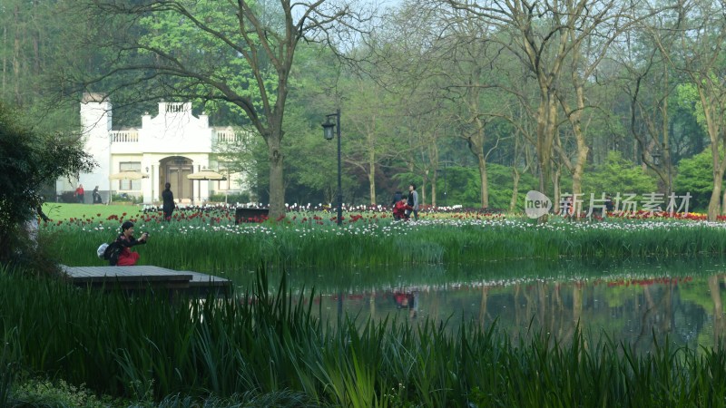 杭州西湖太子湾公园风景