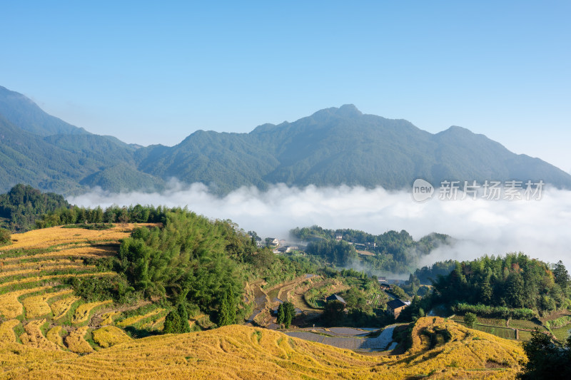 浙江丽水云和梯田景区风光