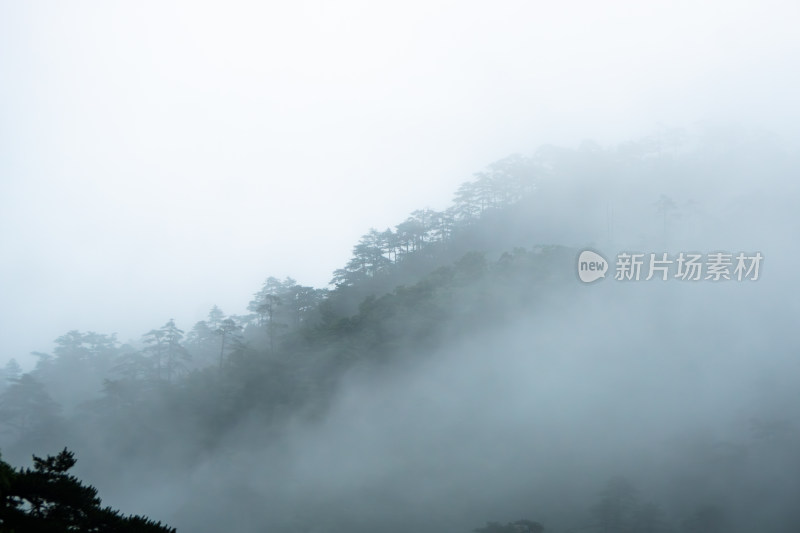 山景雾景