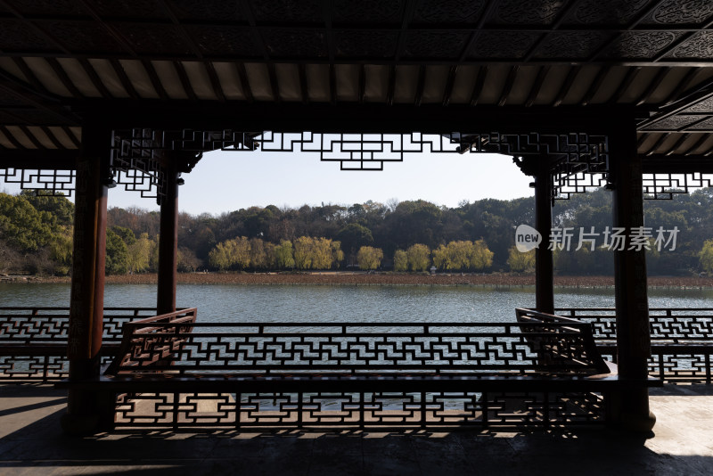 中国杭州西湖边的亭子绿水芙蕖