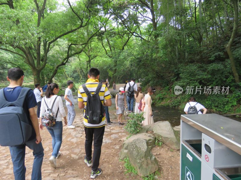 杭州九溪烟树景区