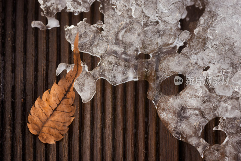 冬日冰块旁的枯叶