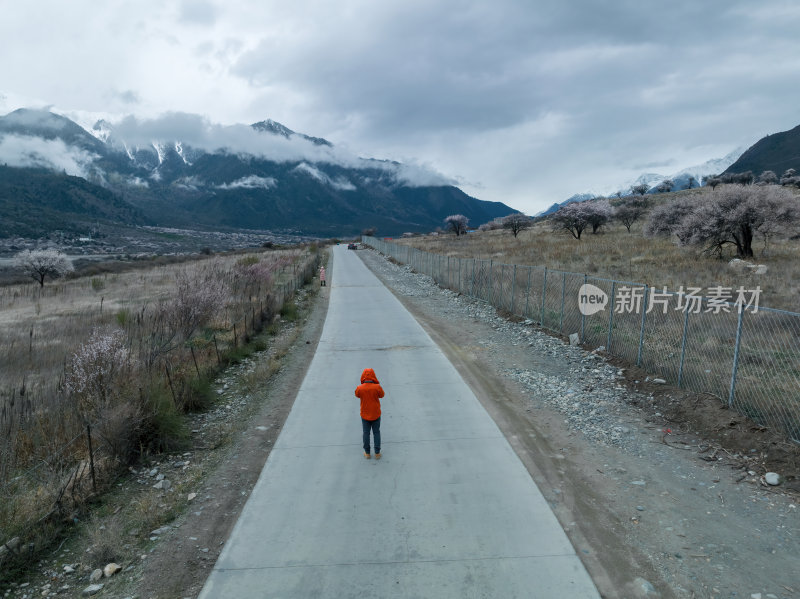 西藏林芝索松村南迦巴瓦峰雪山航拍