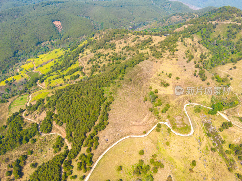 航拍山顶牧场田园风光