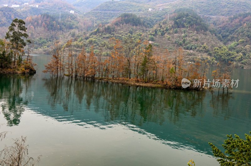 重庆酉阳：绿水青山林更红