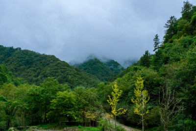 汉中留坝火烧店镇秦岭深处的山中云雾风光