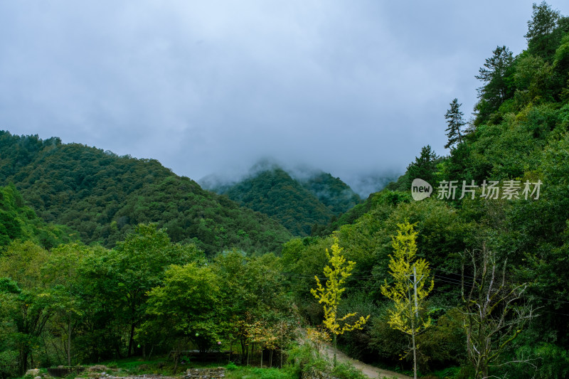 汉中留坝火烧店镇秦岭深处的山中云雾风光