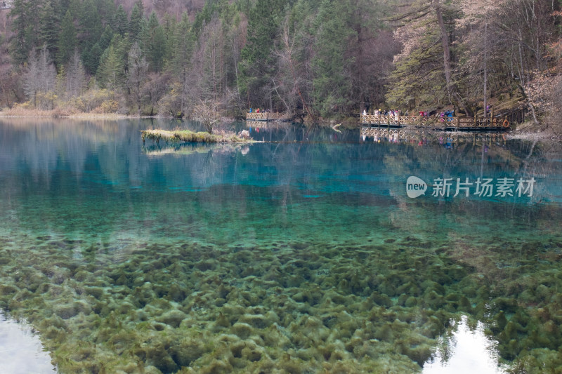 秋天的四川阿坝州九寨沟五花海景点