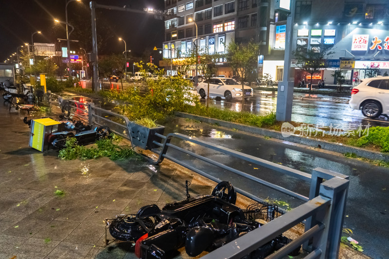 台风携带暴雨造成树木损毁车辆吹倒