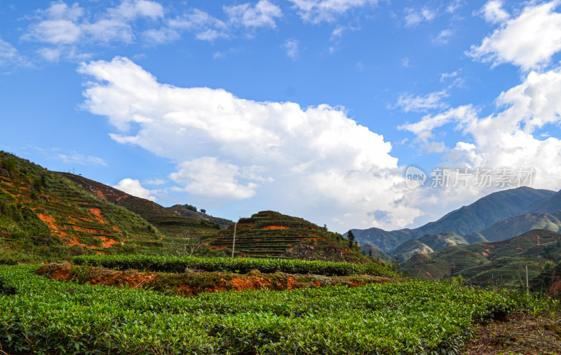 山林间的全景