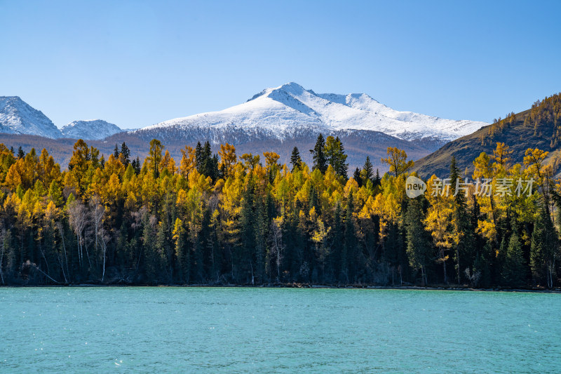 新疆北疆阿勒泰喀纳斯风景区喀纳斯湖