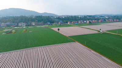 乡村田园风光航拍全景