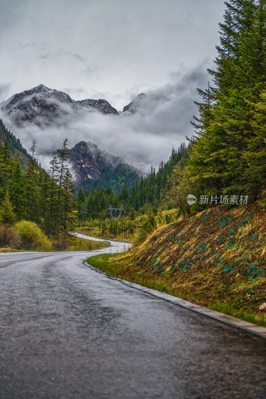 雪山森林里的公路