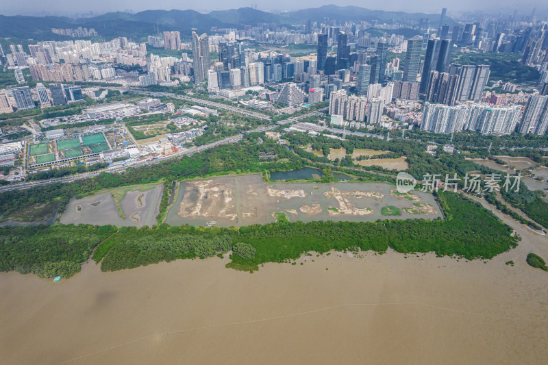 深圳市福田红树林保护区