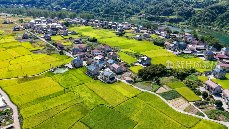 秋天美丽乡村田园航拍图