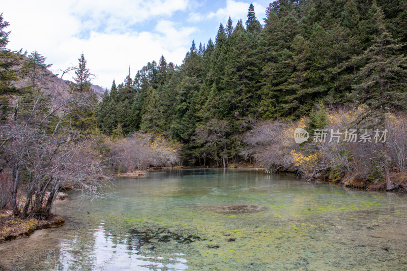 四川阿坝黄龙景区雪山下钙华彩池秋景