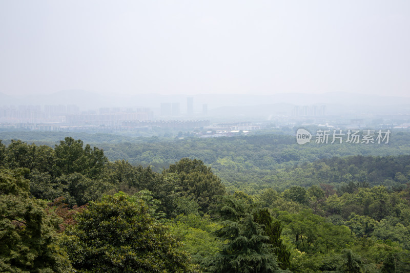 山林与都市的交界