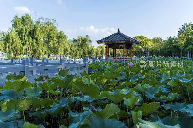 杭州汉阳区汉阳江滩公园风光