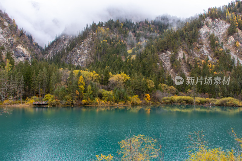 九寨沟秋色，箭竹海和秋景山林