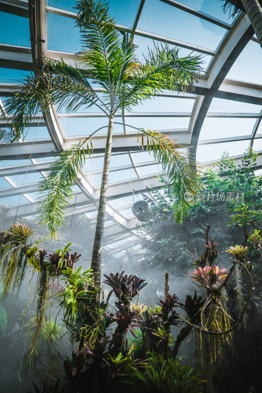 中科院昆明植物研究所 昆明植物园 扶荔宫