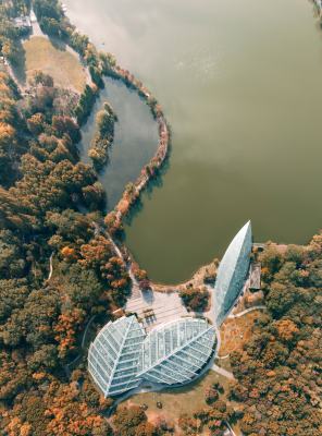 南京中山植物园前湖秋季风光