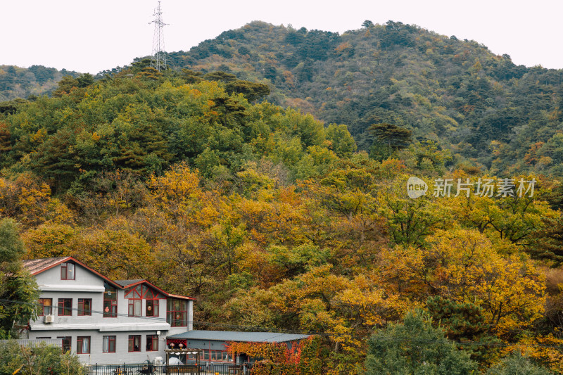 秋天的山坡和房屋