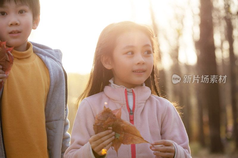 可爱的男孩女孩在户外玩耍