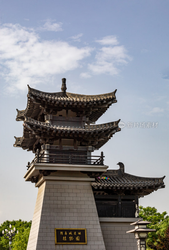 洛阳隋唐遗址植物园景点景观