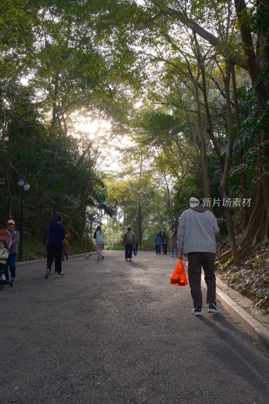 深圳莲花山公园