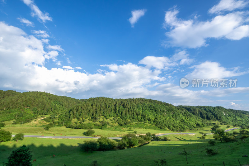 重庆市武隆区仙女山国家森林公园