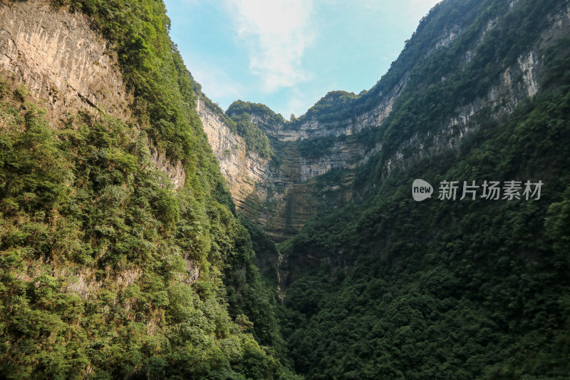 湖北宜昌三峡竹海风景区，自然风光，竹海