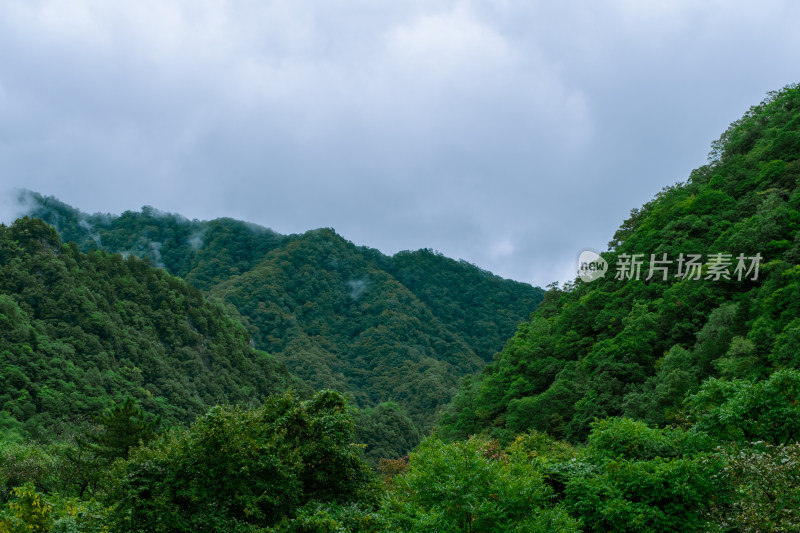 汉中留坝火烧店镇秦岭深处的山中云雾风光