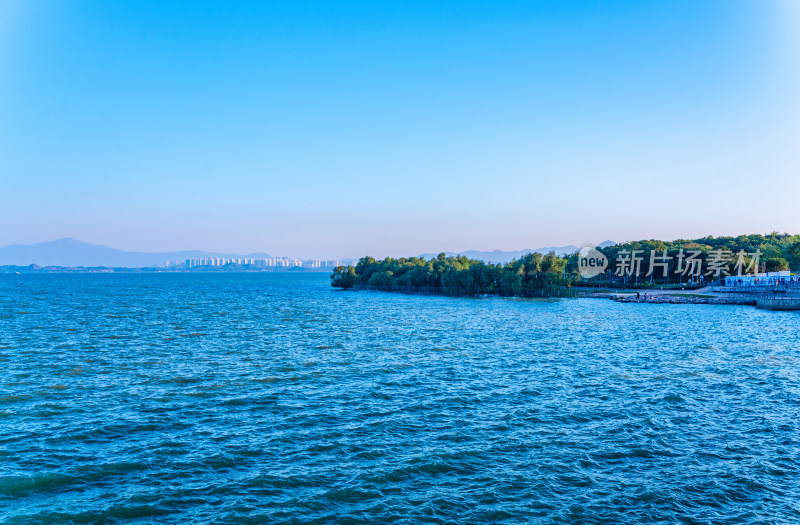 深圳湾滨海城市桥梁与公园景观