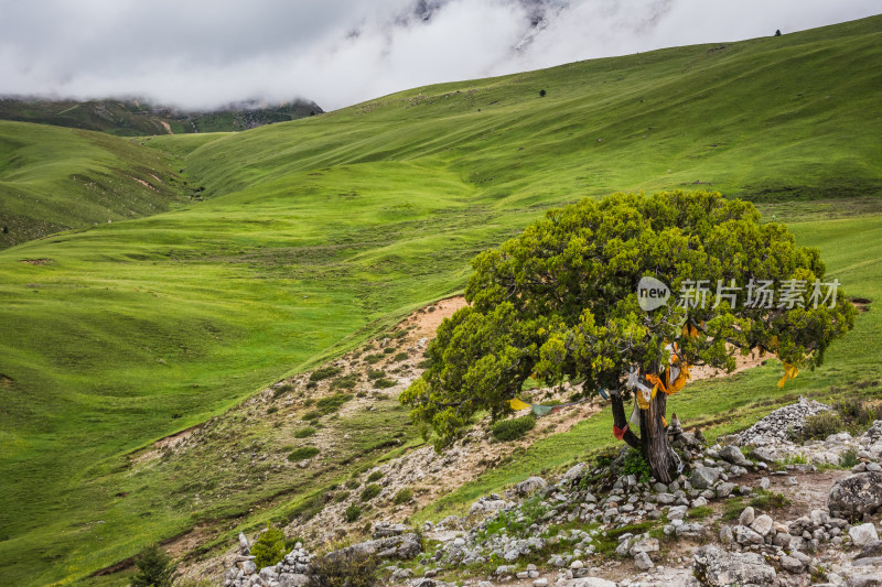 蓝天白云下广袤草原与连绵山峦自然风景